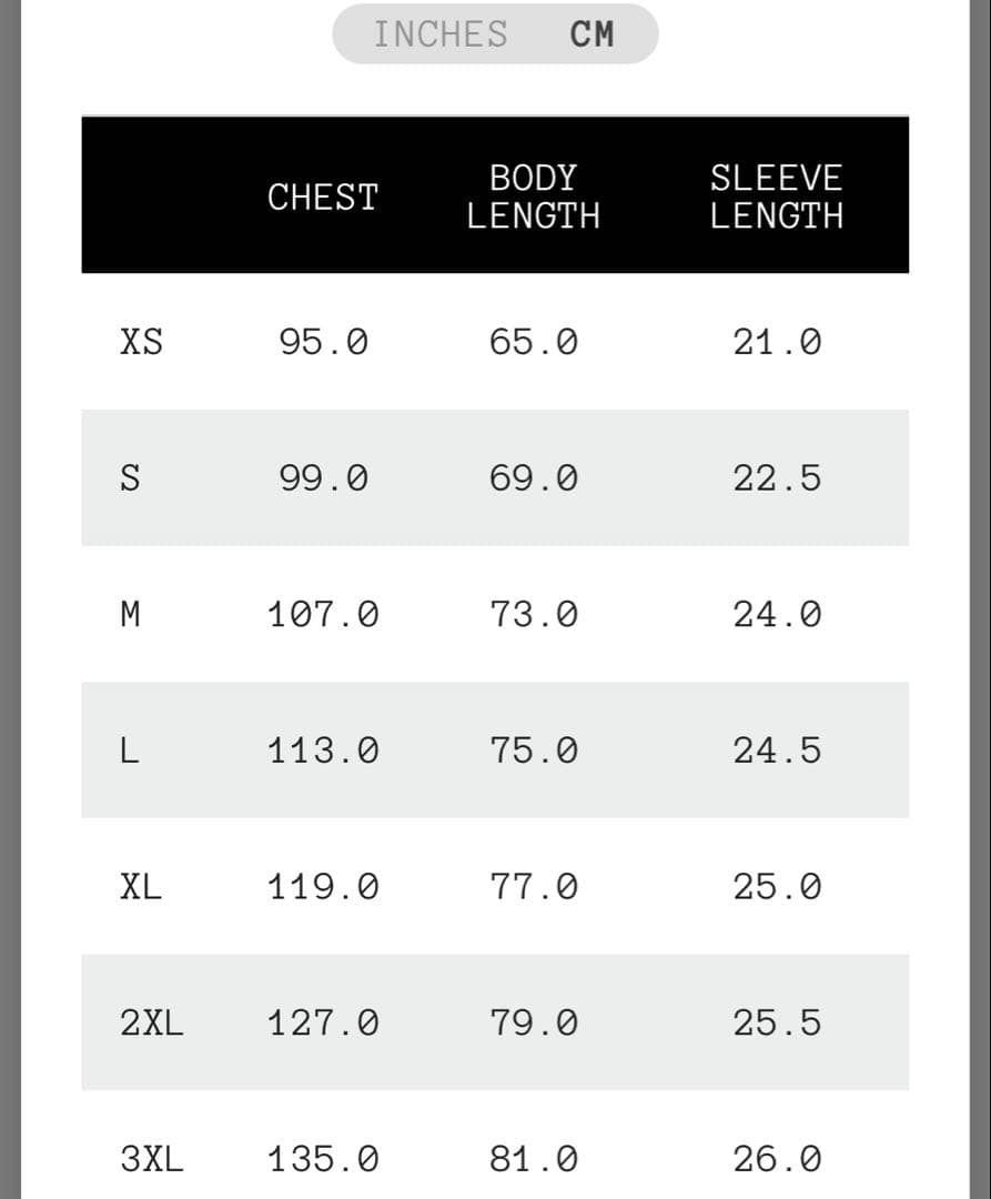 【現地限定】oasis live '25 アイルランド　ダブリン公演　Tシャツ