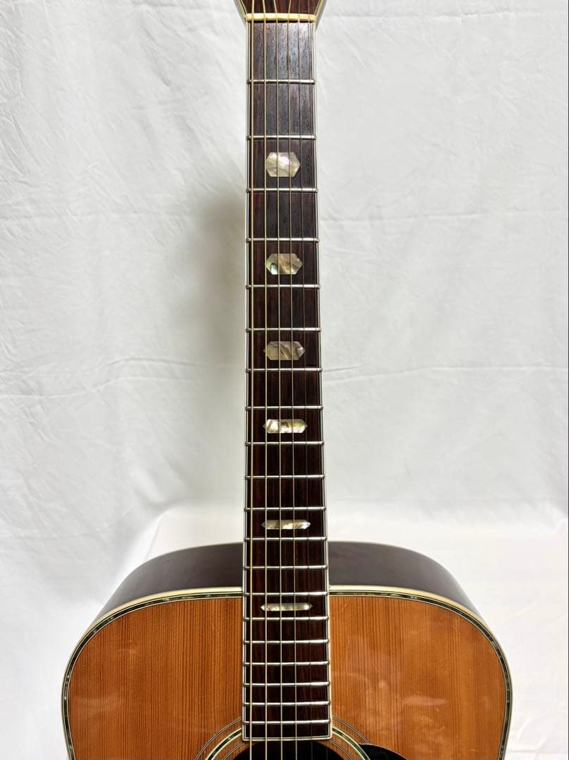 【新品弦張替済】MORRIS アコースティックギター W-60