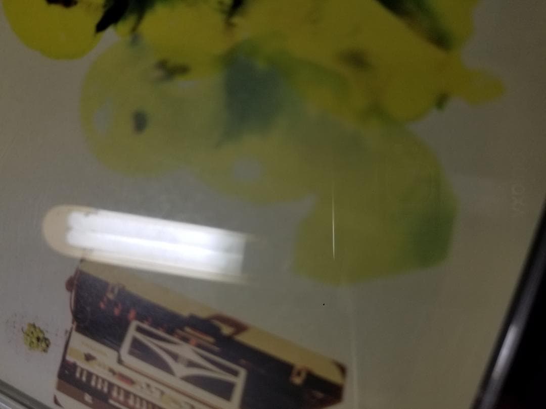 カーネーション/Parakeet&Ghost(Deluxe Edition)