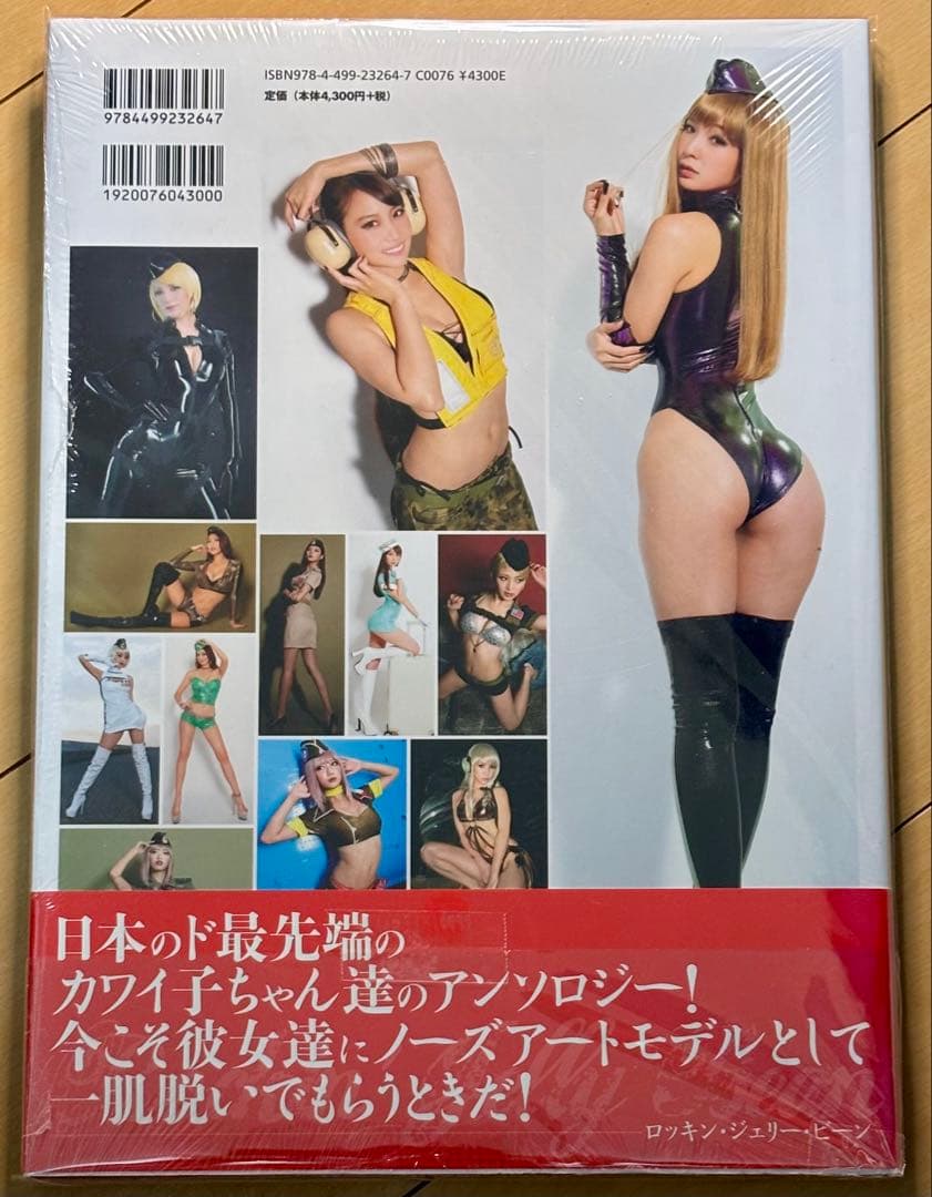 【新品未開封】最上もが:ギャラリー オブ ザ ノーズアート クイーン Vol.3