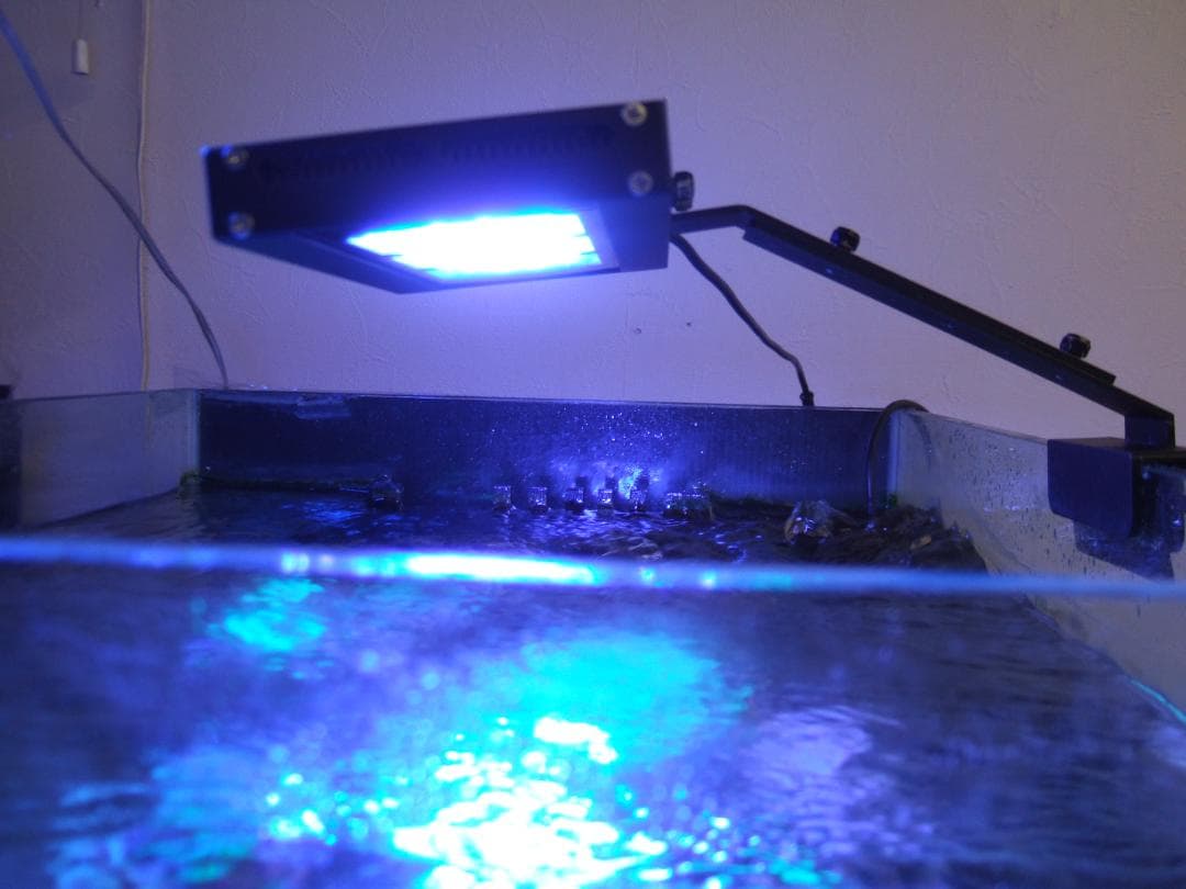 最終値下げ！ZOOX Reef Nano2 　オプティマス リーフナノ2