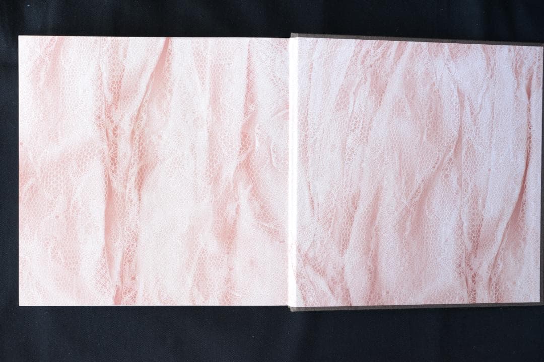 【The Bone House ：Joel-Peter Witkin 】★新品