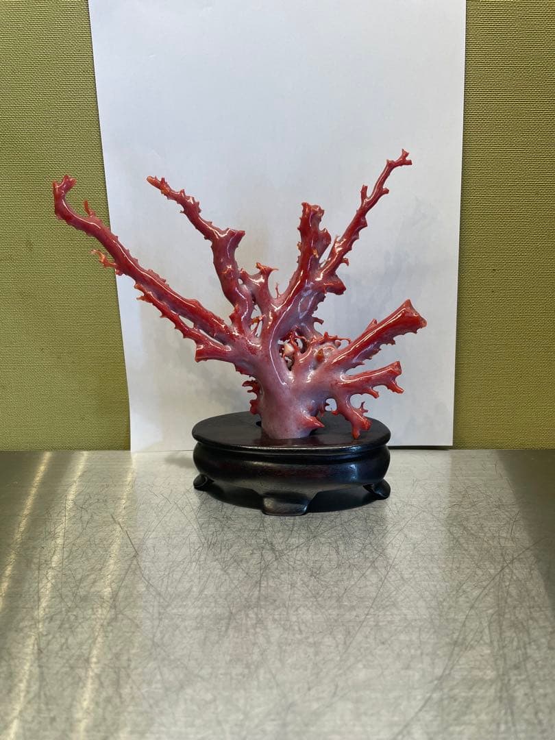 赤珊瑚　原本　サンゴ　置物　オブジェ