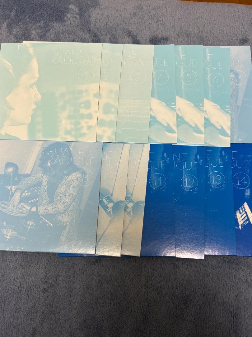 Eliane Radigue Œuvres Électroniques 14CD