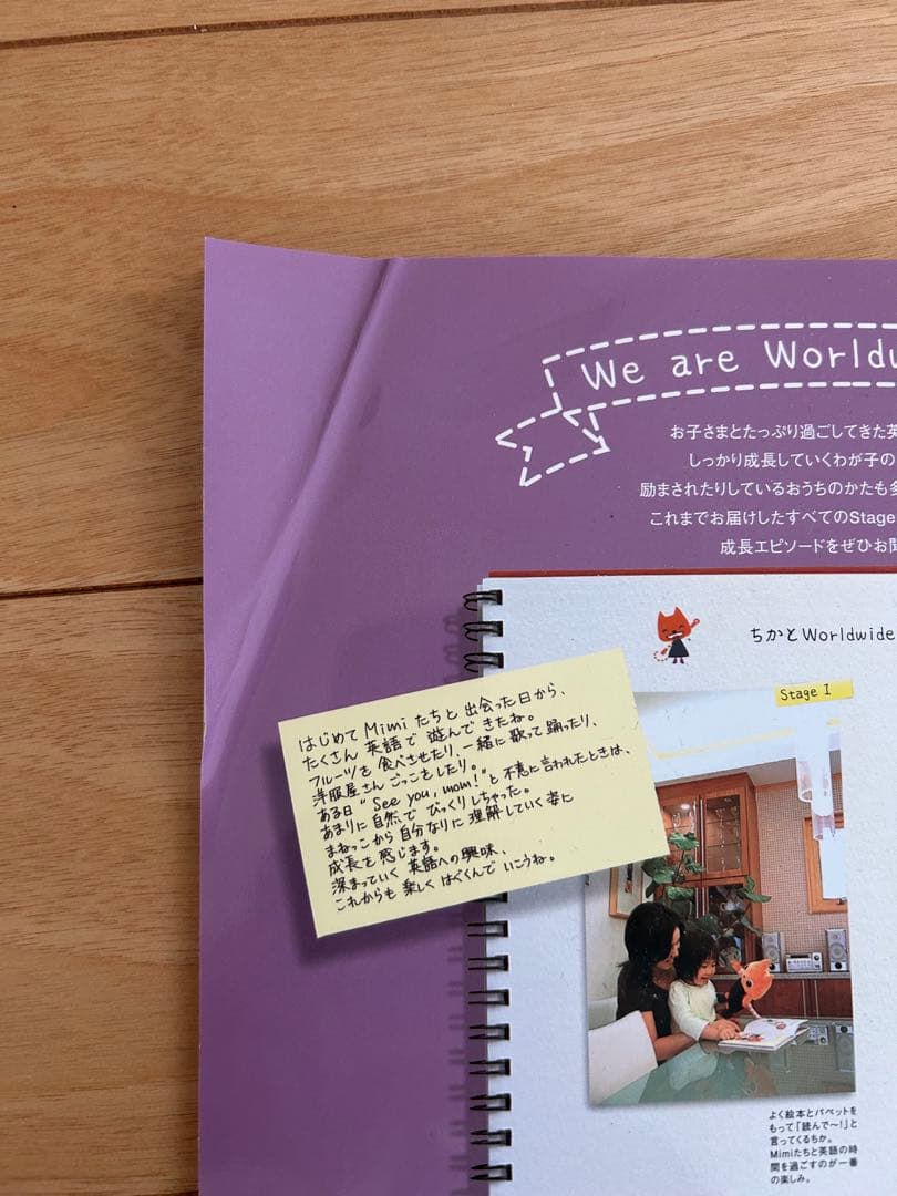 wwk ワールドワイドキッズ DVD30枚　parentsガイド6冊セット