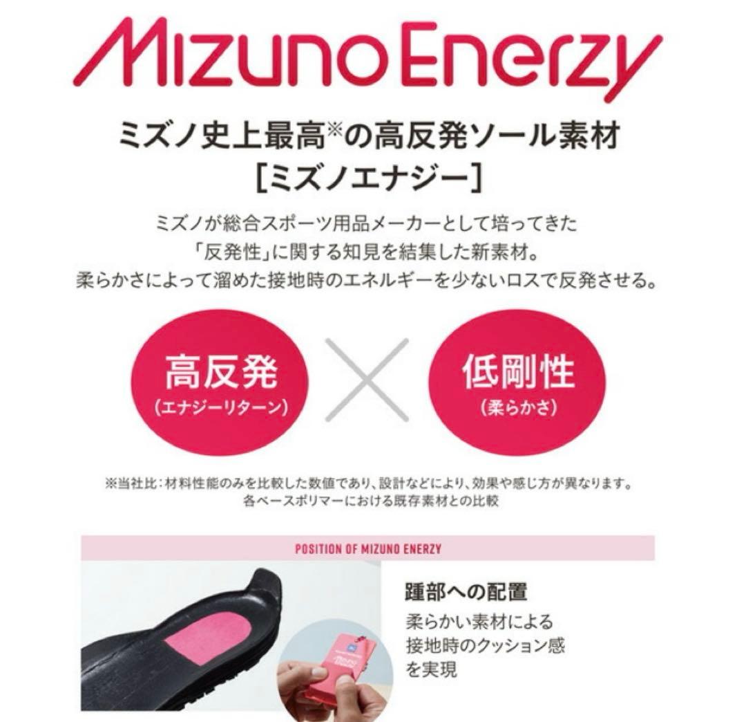 ミズノ 安全靴 オールマイティ 【F1GA2413】 TD2 51L BOA