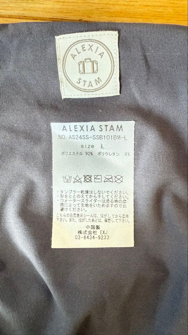 ALEXIA STAM グレー セパレート水着