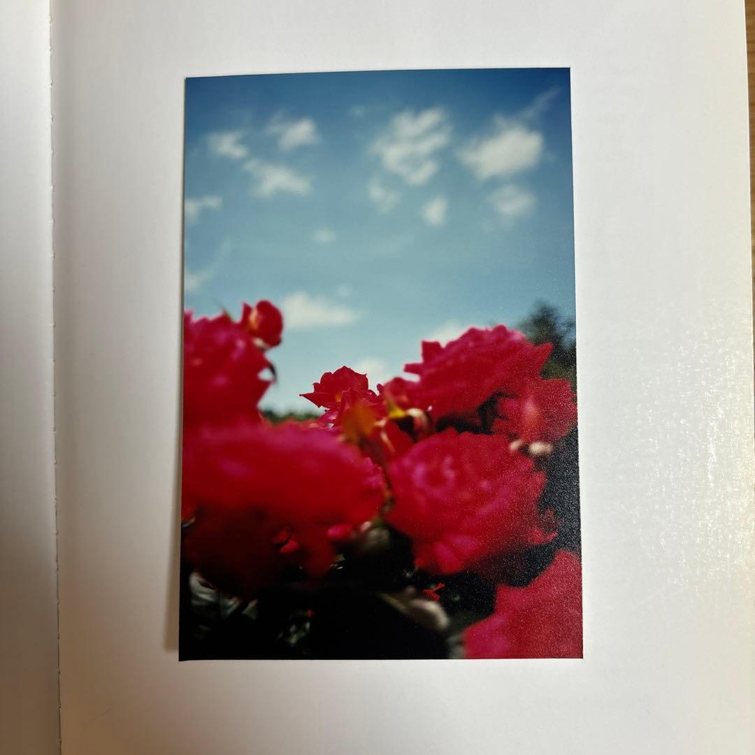 Terri Weifenbach 2冊セット サイン入り オリジナルプリント付き