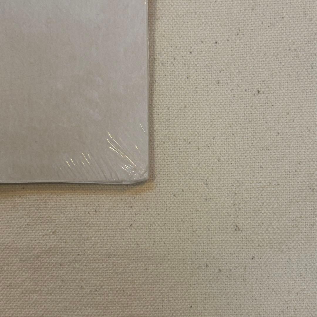 トイストーリー　30周年記念　レコード　新品未開封　ゾートロープ仕様