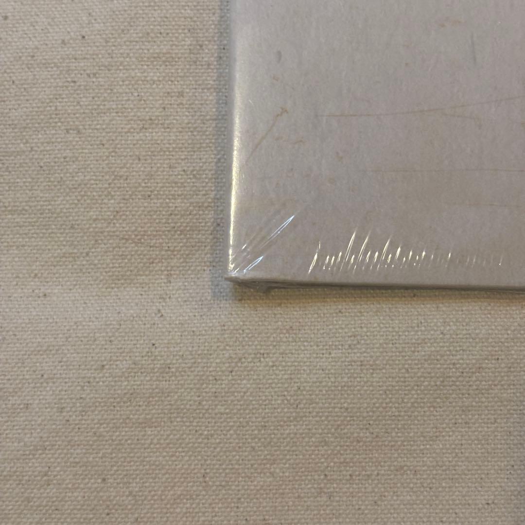 トイストーリー　30周年記念　レコード　新品未開封　ゾートロープ仕様