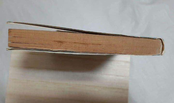 金色のライオン　香山彬子　佃公彦