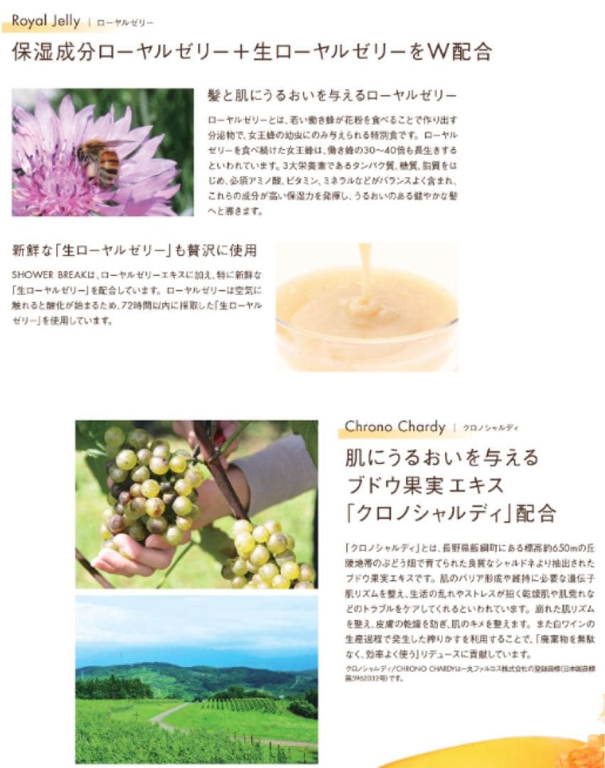 【新品】【正規品】POLA シャワーブレイク ボディソープ 10Lポーラ