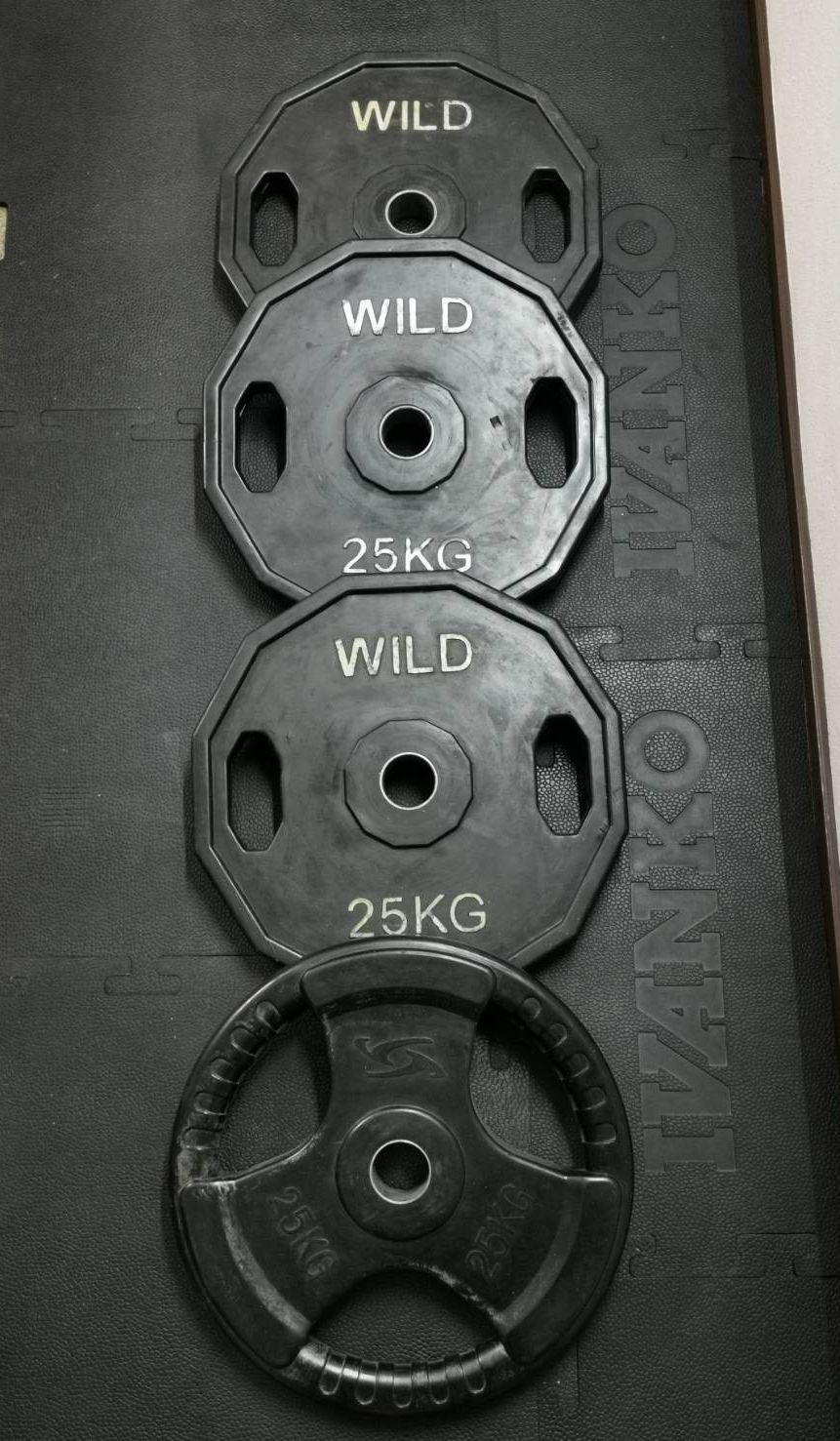 WILD ワイルド　100kg ウエイト25kg 4枚セット