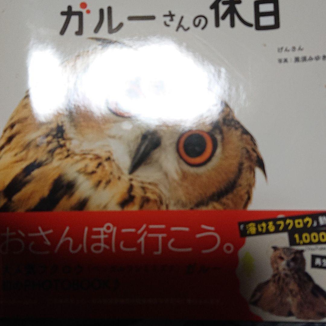 もふもふフクロウ ガルーさんの休日