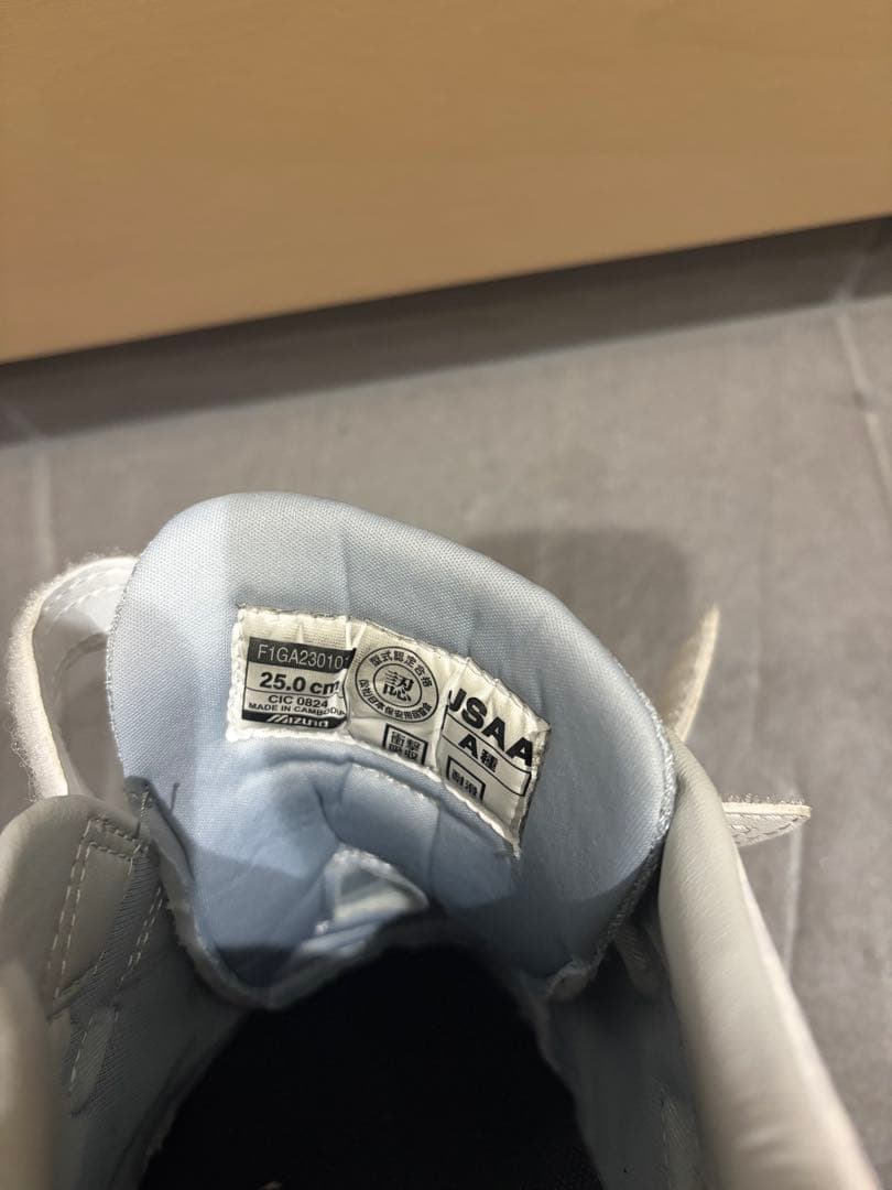 ミズノ　安全靴　25.0