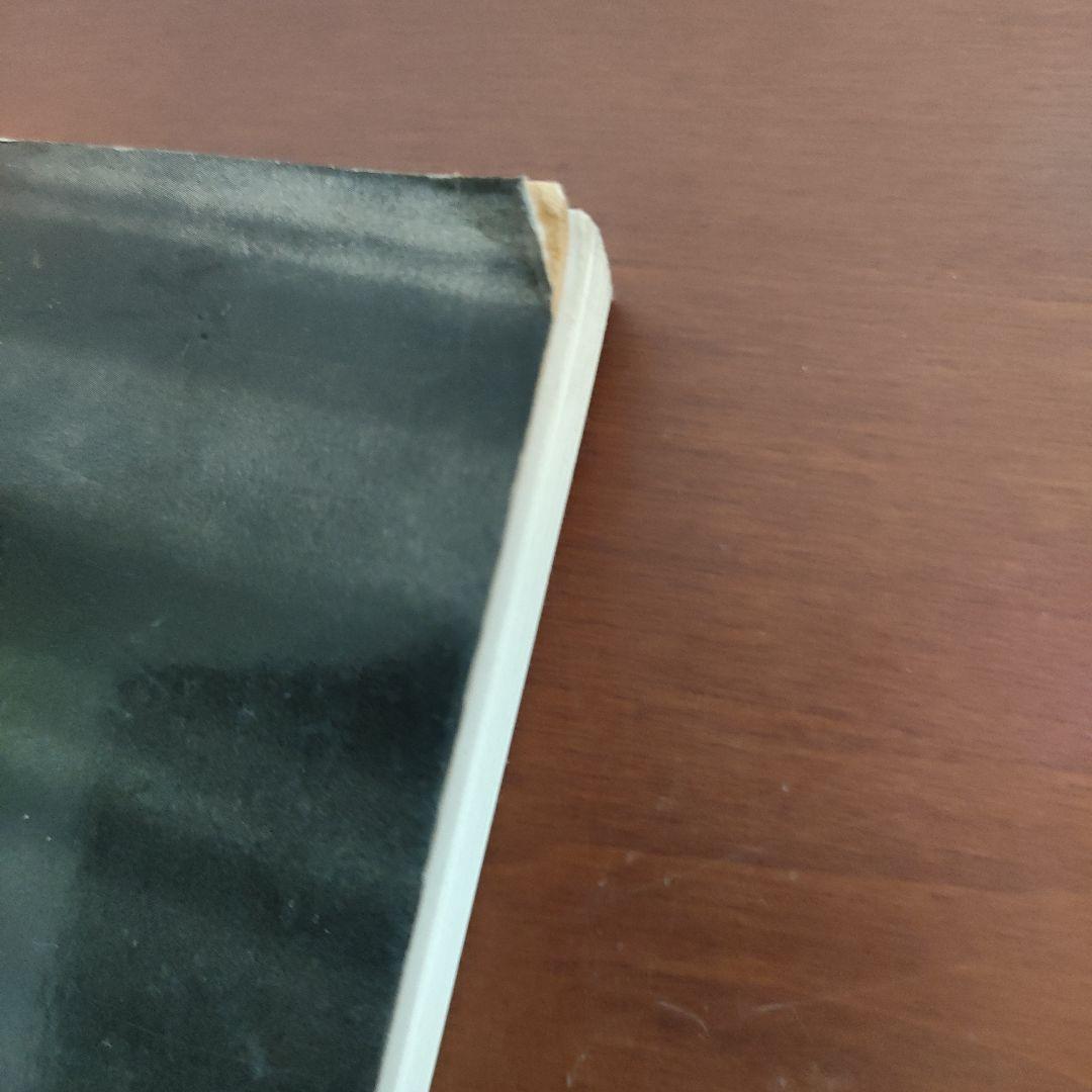 The Best of HELMUT NEWTON 洋書