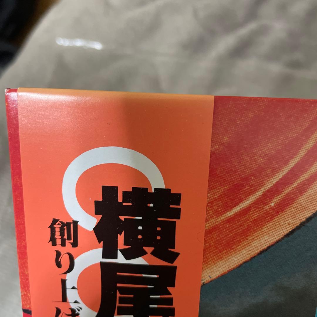 COCHIN MOON 横尾忠則 細野晴臣 LP