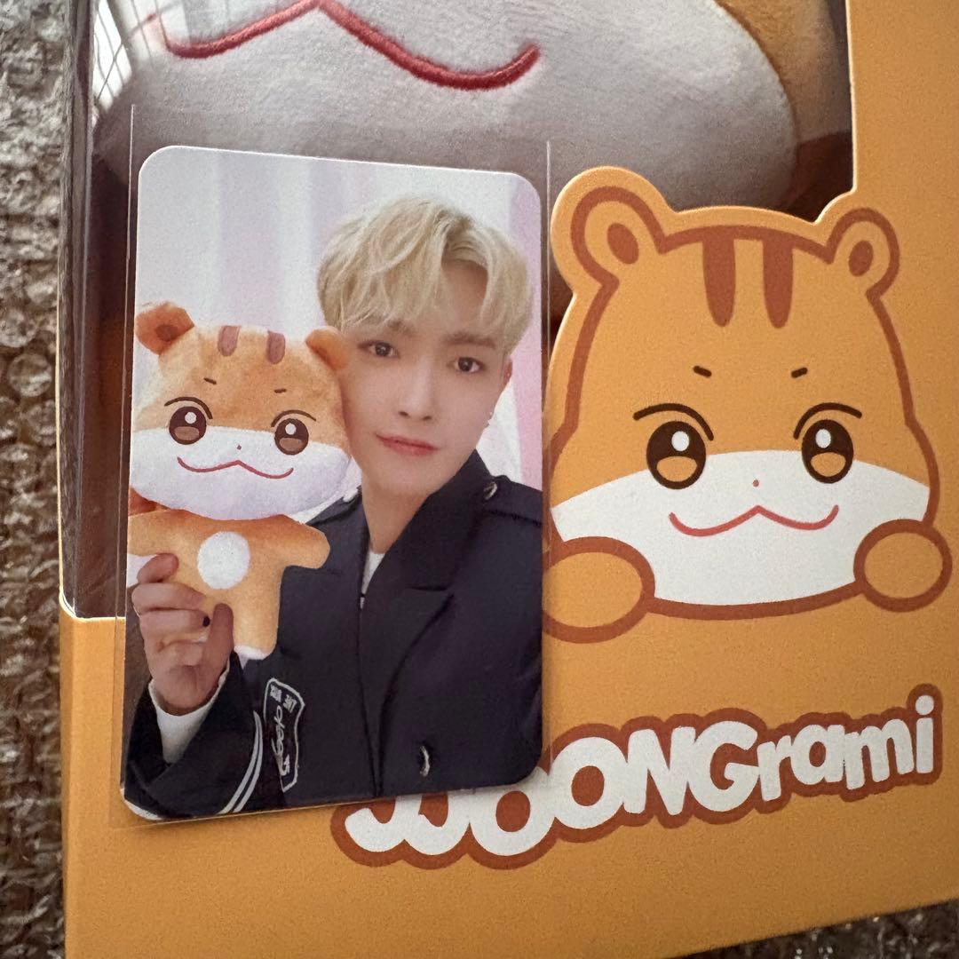 ATEEZホンジュン ANITEEZ チュンラミ JJONGrami ぬいぐるみ