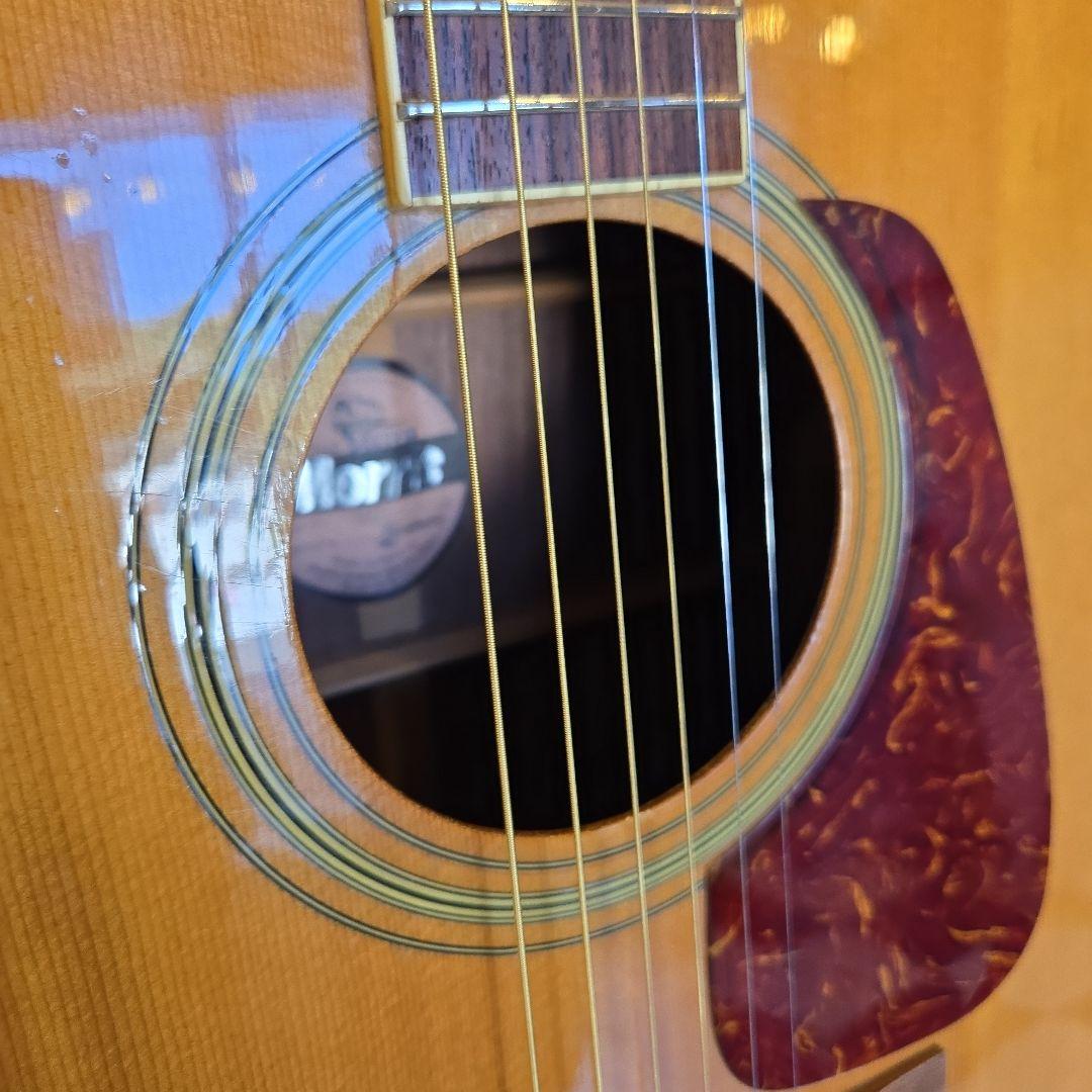 MORRIS MD-506 アコースティックギター