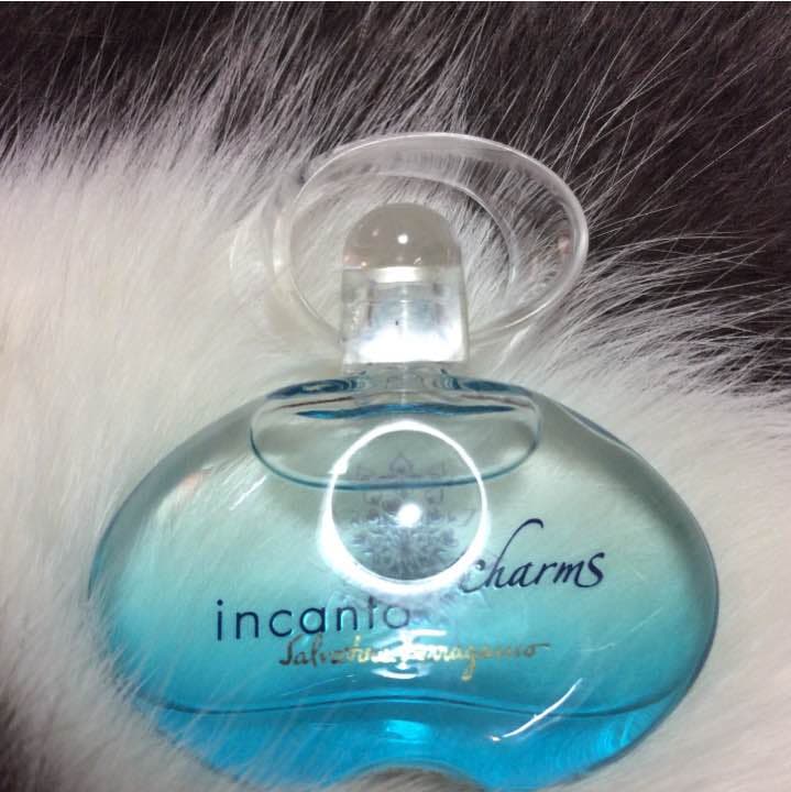 【お取り置き品】フェラガモ  インカント チャーム ５ml