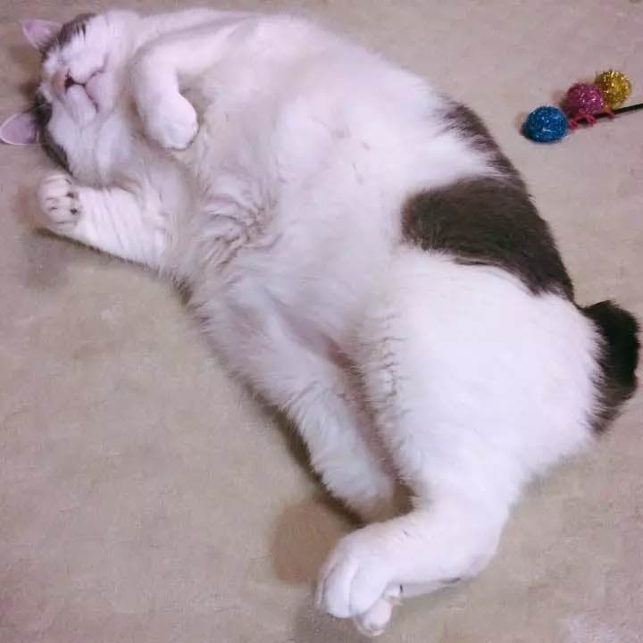 【お取り置き品】フェラガモ  インカント チャーム ５ml