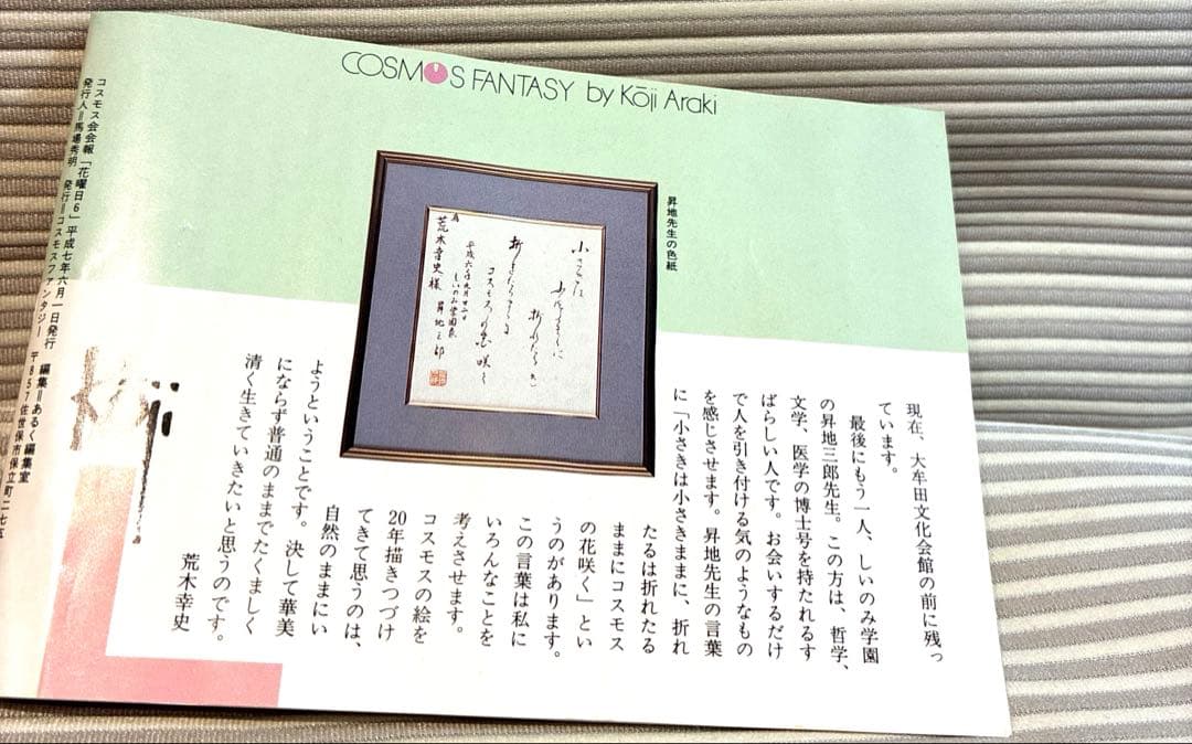 お値引き中　荒木幸史 KOJI コスモス画家 直筆画 絵画 アート1998年