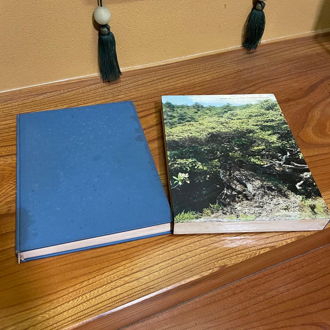 松柏盆栽大観 BONSAI MASTERPIECES OF CONIFERS