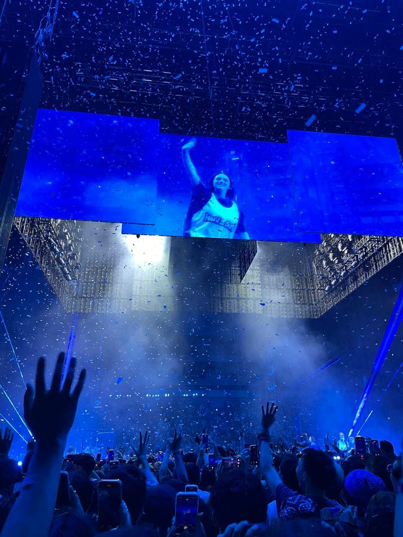 日本限定1000枚 Hit me hard and soft ビリー 紙吹雪