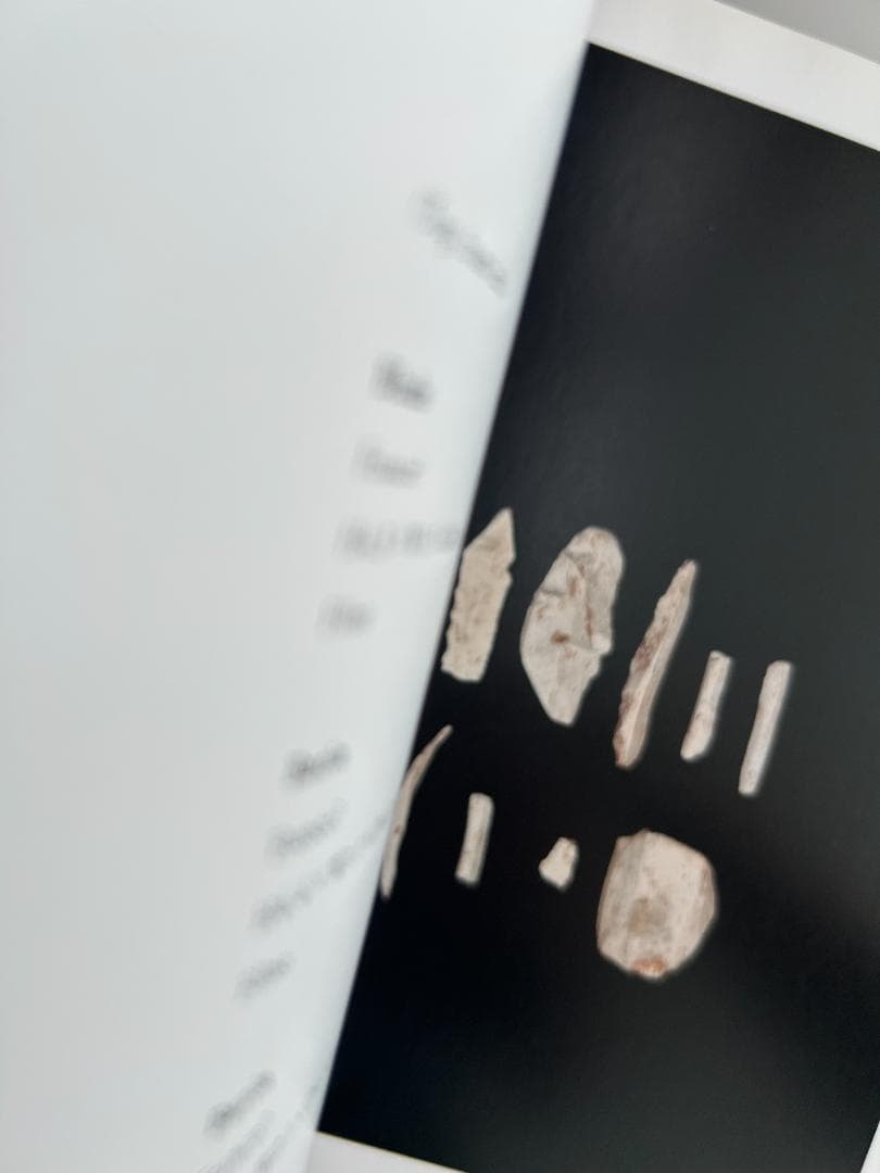 希少本 ONE HUNDRED STONEWARES 上田義彦 西野嘉章 原研哉