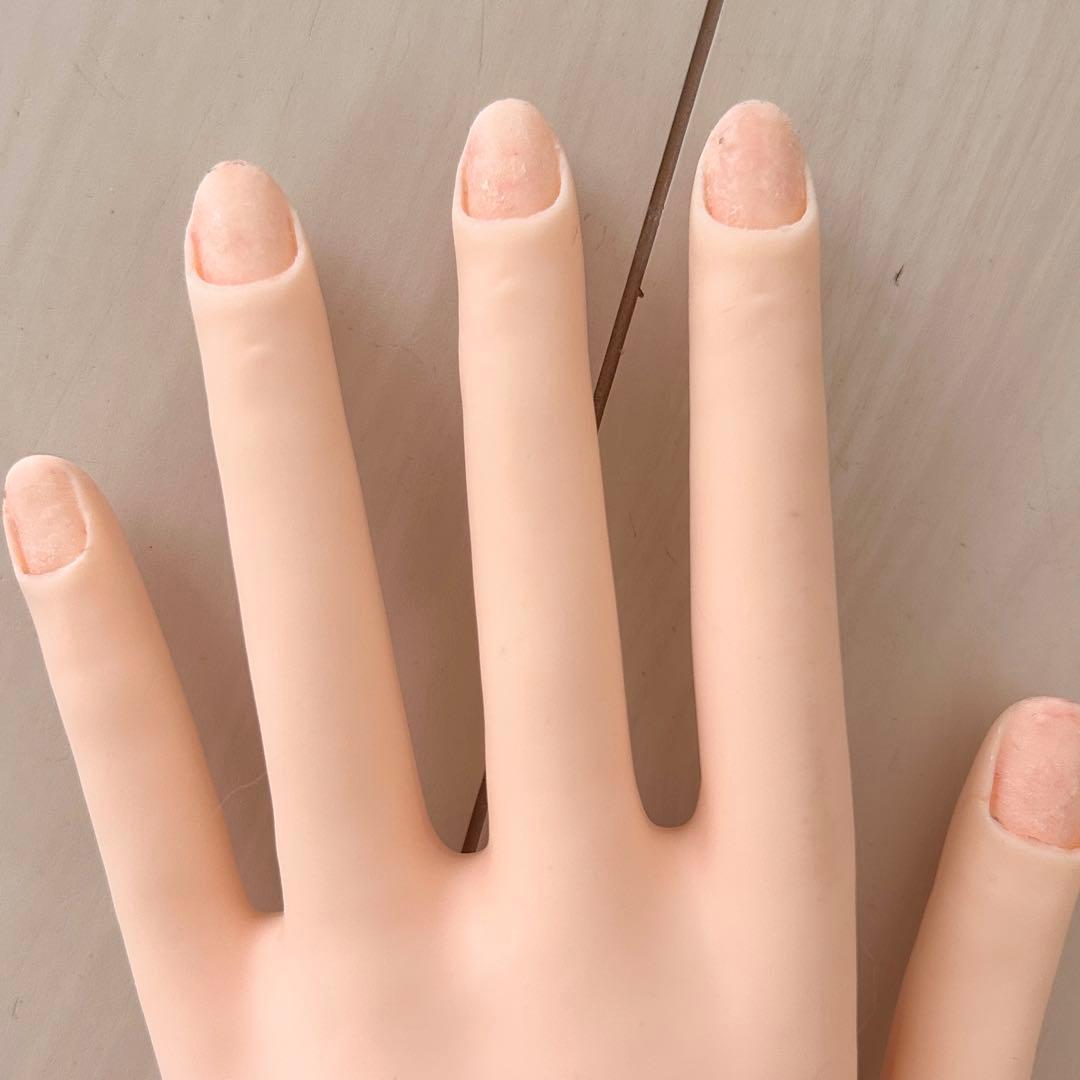 JNEC認定モデルハンド セット