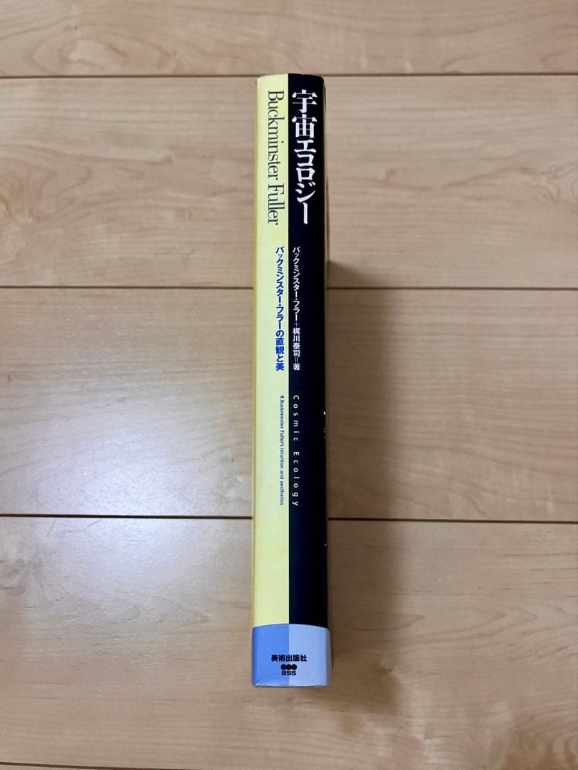 宇宙エコロジー : バックミンスター・フラーの直観と美