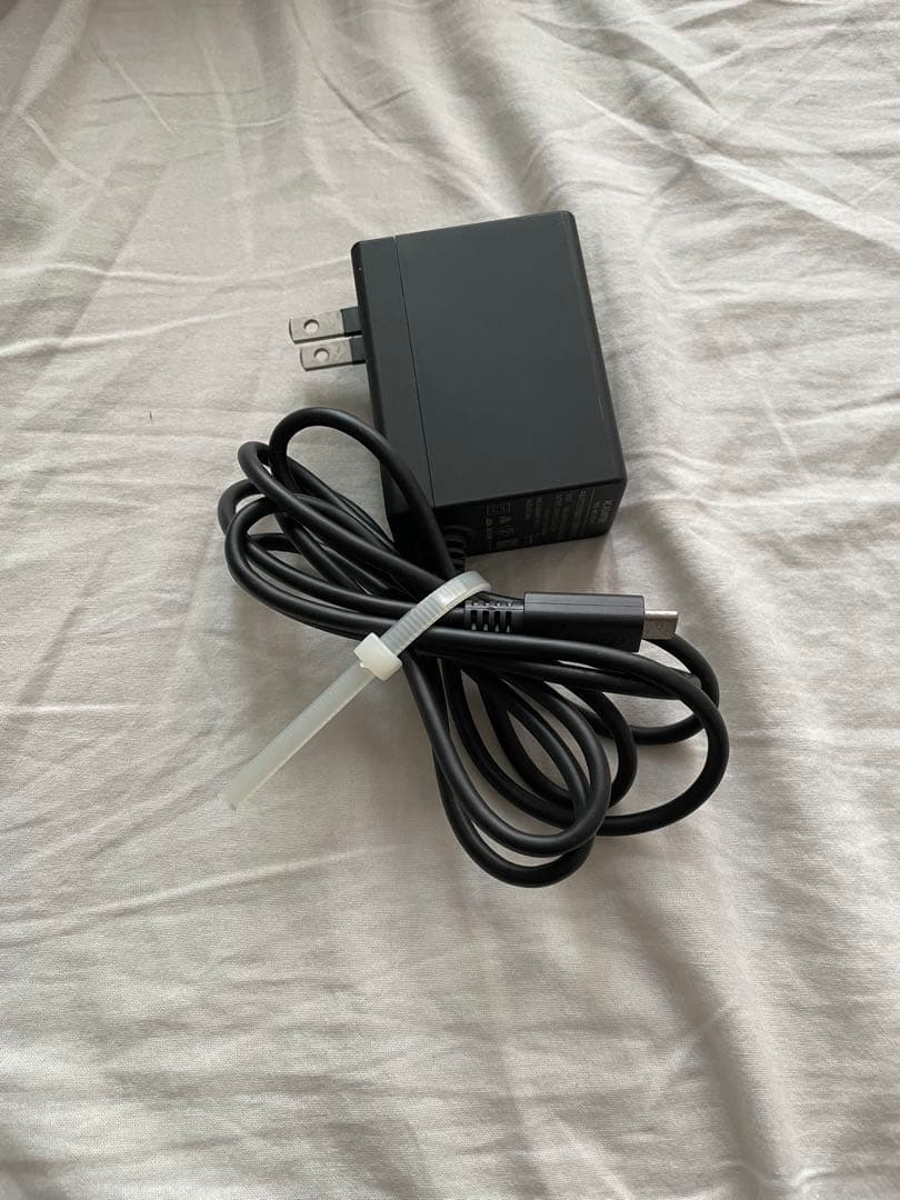 Nintendo Switch Lite ターコイズ 充電器付　スマブラ