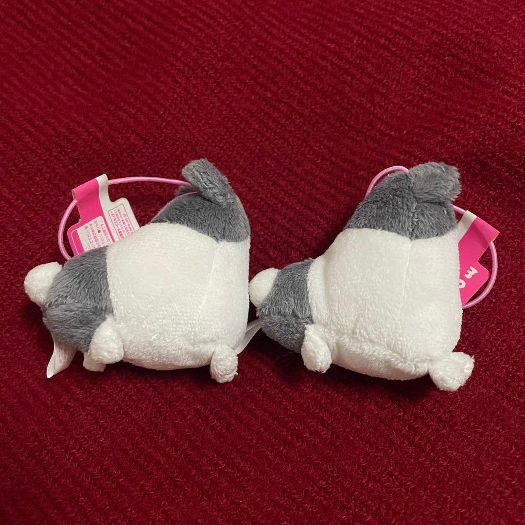 もふたんず ミニマスコット のりまき