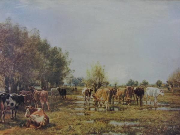 Fen Meadows/Mark Fisher、牧場/マーク・フィッシャー