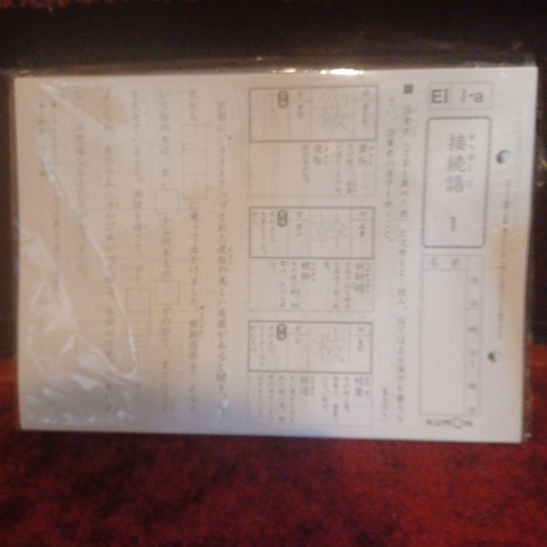 未記入　プリント　国語　E1EⅡ　400枚　解答つき