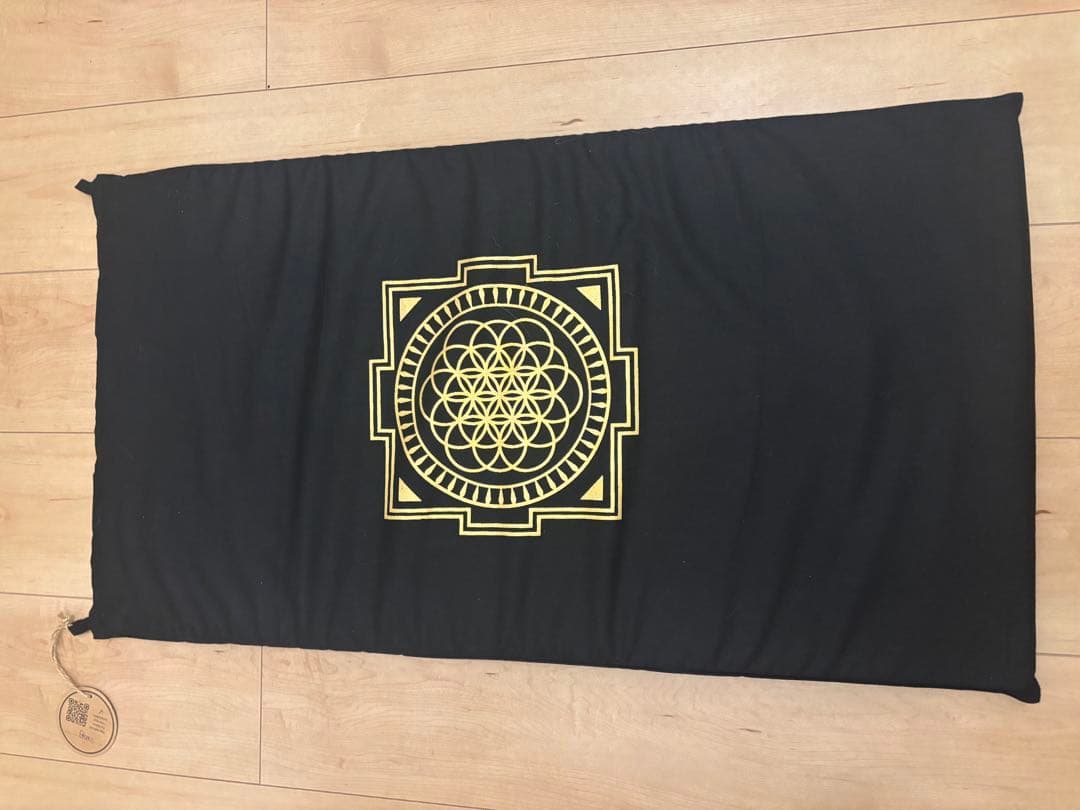 【美品正規品 箱・説明書付】究極のシャクティセット 黒 レベル2（中強度）