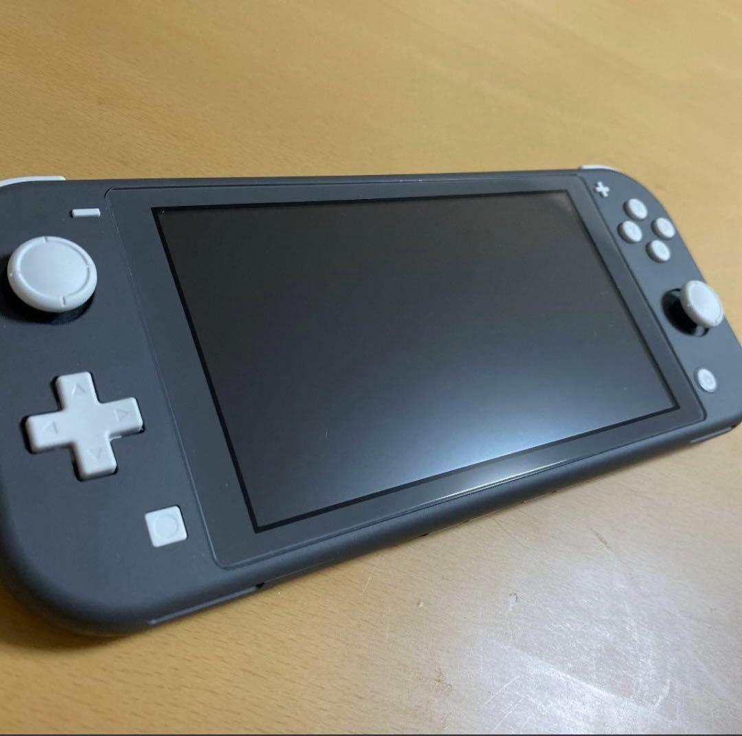 Nintendo Switch Liteグレー 本体純正充電器・箱・ケース付
