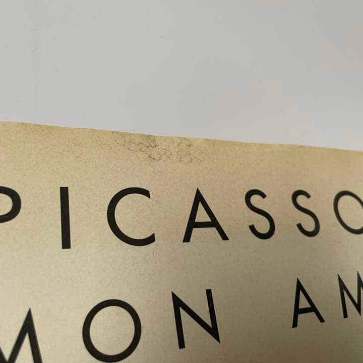 【超貴重】 PICASSO MON AMI / LUCIEN CLERGUE