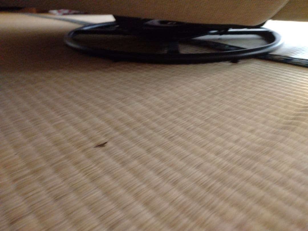 Flexispot リクライニングソファ XRC5 フレキシスポット