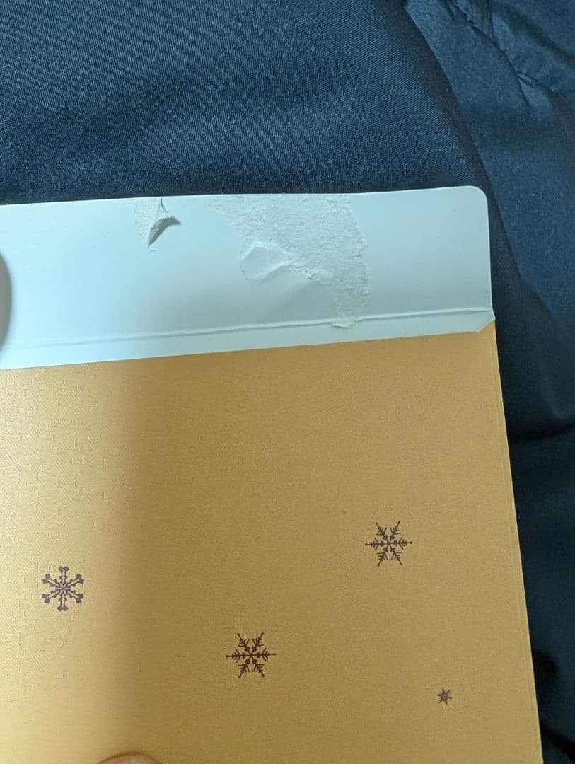 Stray Kids OFFICIAL FANCLUB 3期