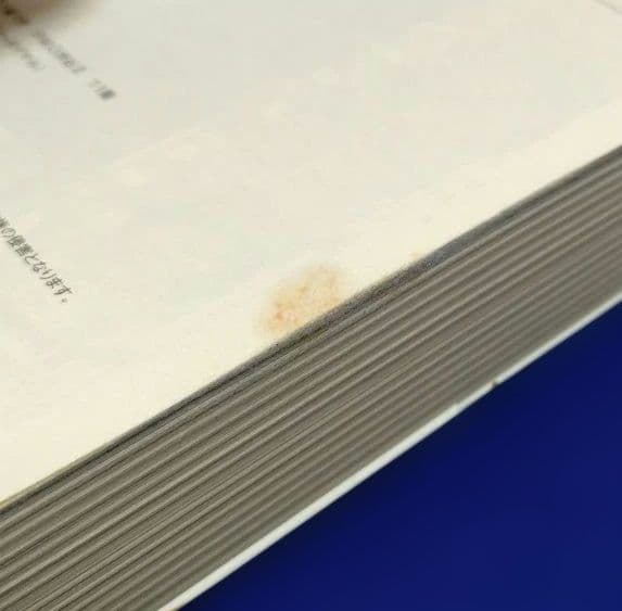 ティアムーン帝国物語 ～断頭台から始まる、姫の転生逆転ストーリー〜 1〜18