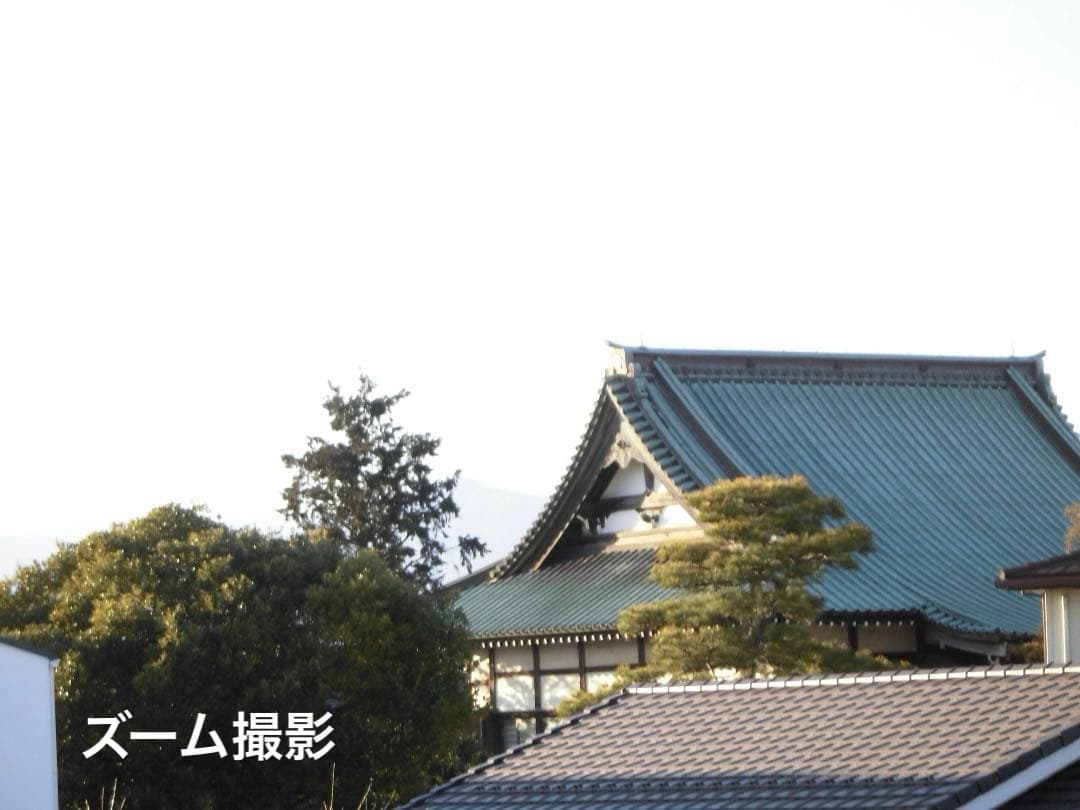 追加あり⭕️【動作確認済】CASIO EXILIM EX-Z900 シルバー