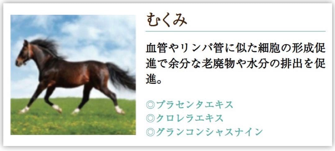 ボディ改善ジェルクリーム　　NINE ボディコンシャスセラム200ml