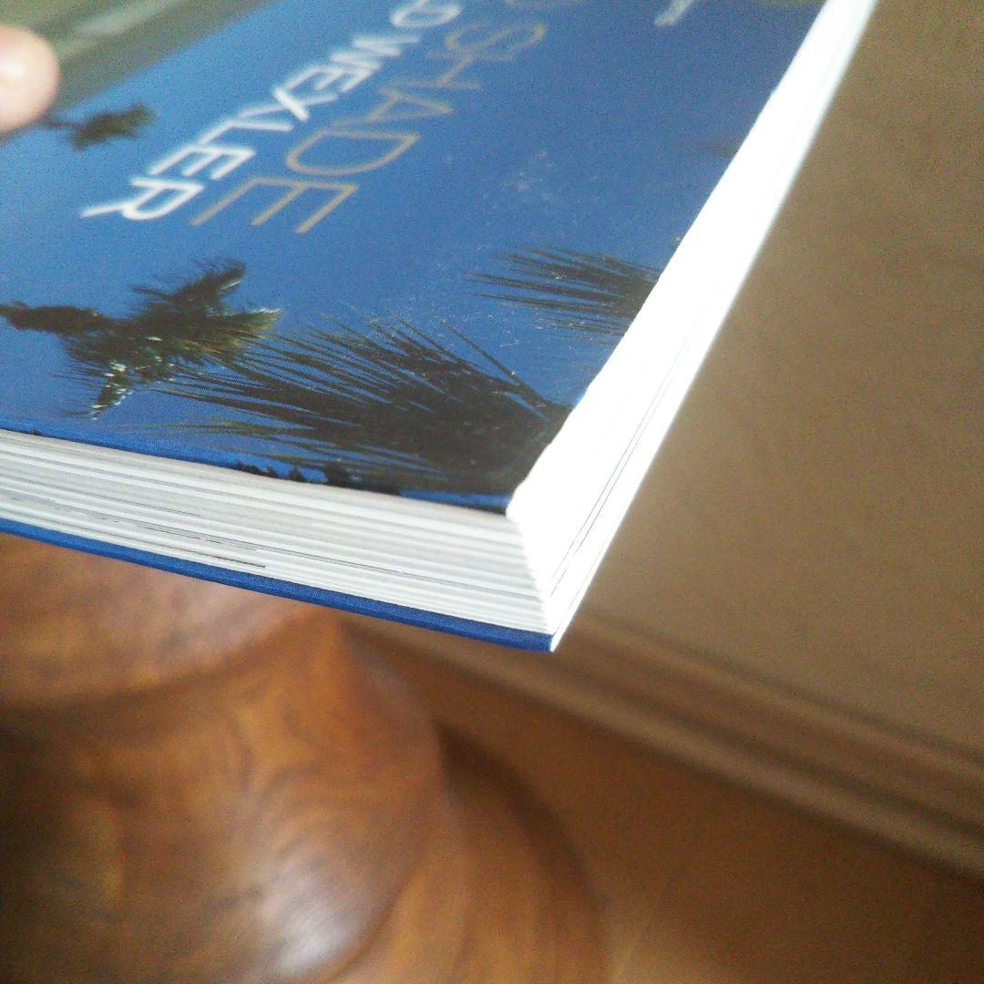 スティール &シェード ：ペーパーバック 2011/3/22