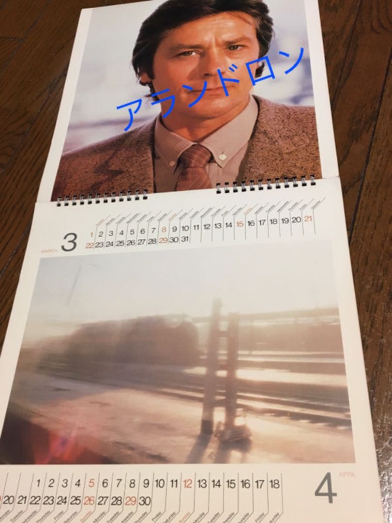 【貴重】アランドロン ダーバンカレンダー　1981