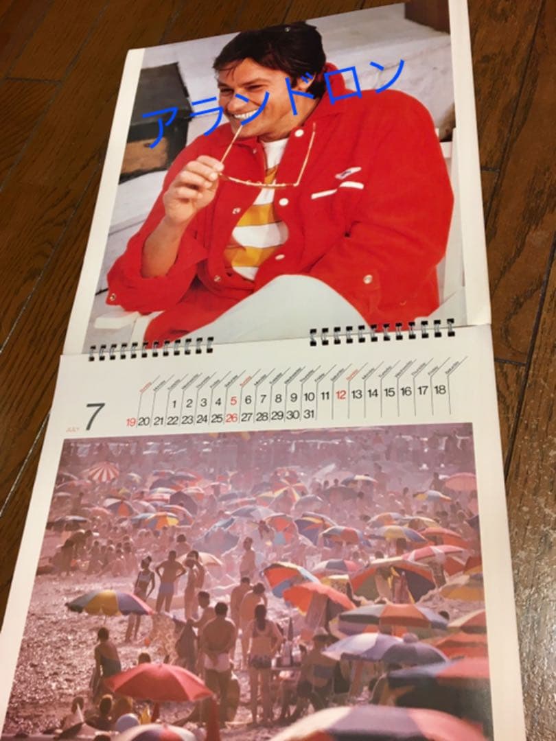 【貴重】アランドロン ダーバンカレンダー　1981
