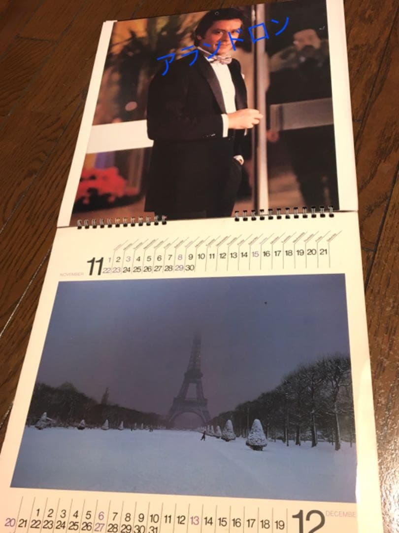 【貴重】アランドロン ダーバンカレンダー　1981