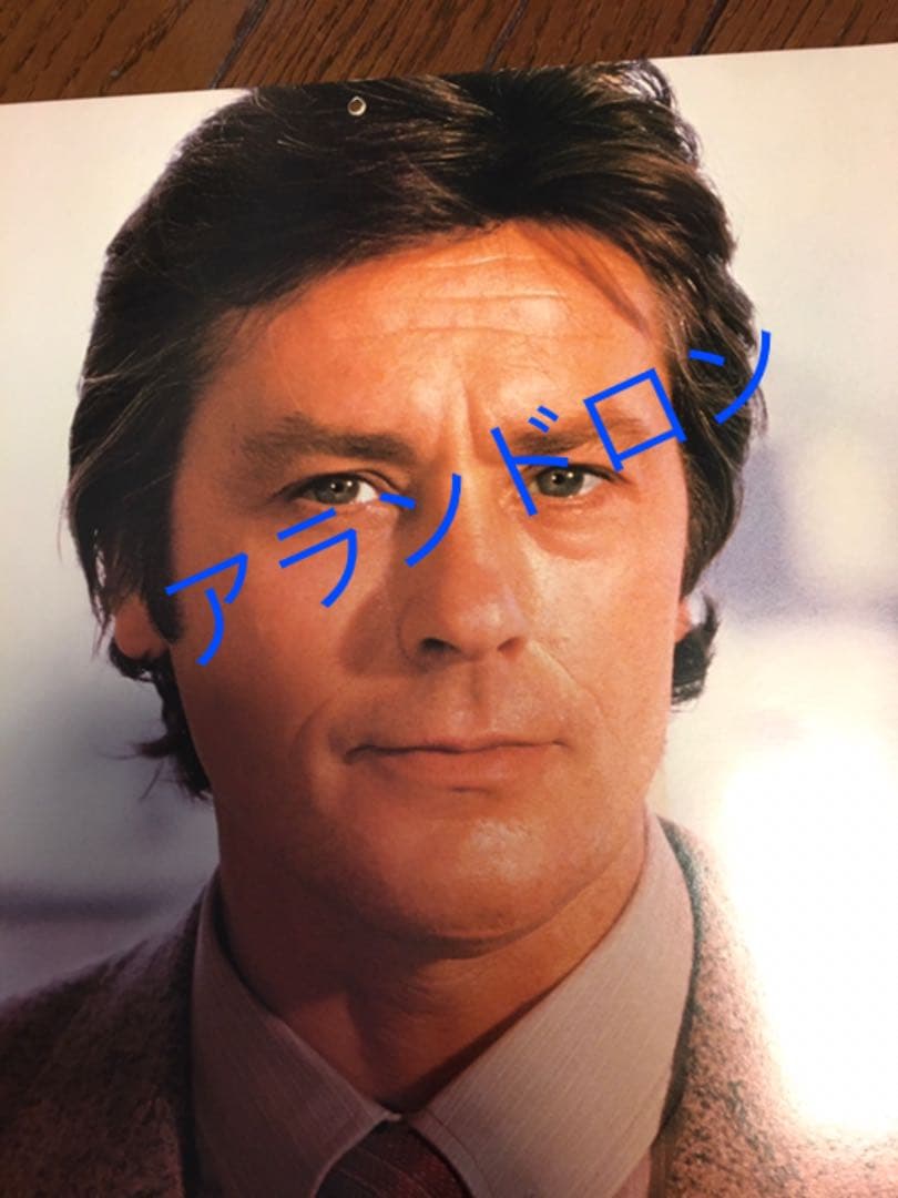 【貴重】アランドロン ダーバンカレンダー　1981