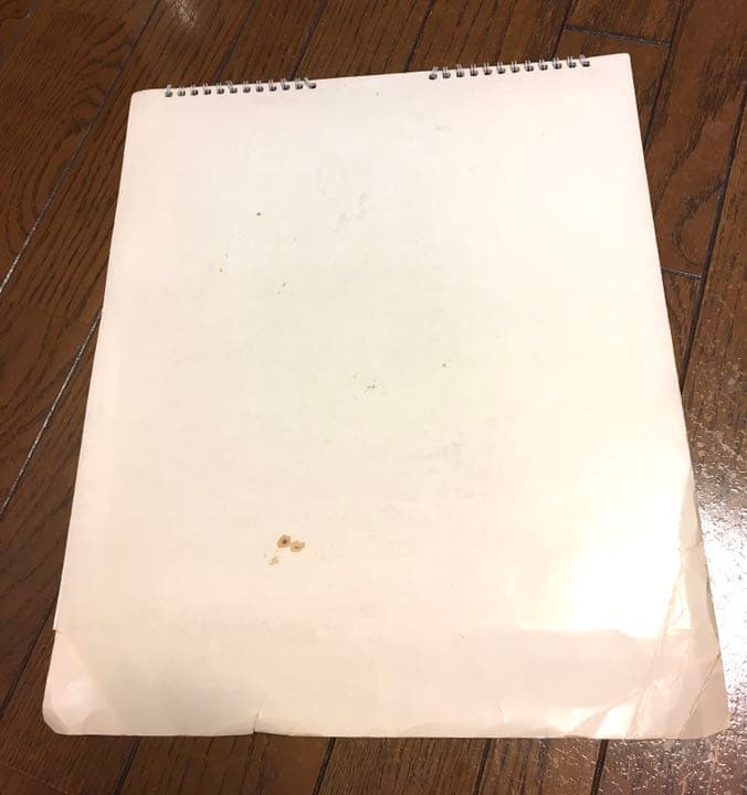 【貴重】アランドロン ダーバンカレンダー　1981