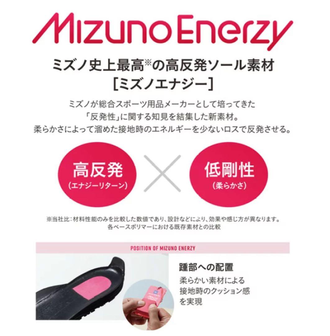 MIZUNO 数量限定カラー ミズノ 安全靴 軽量 メンズ スニーカー 27.0